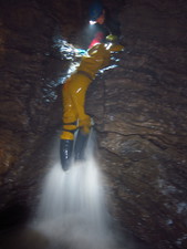 Thumbnail of photo from this article